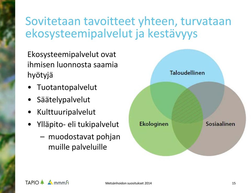 hyötyjä Tuotantopalvelut Säätelypalvelut Kulttuuripalvelut