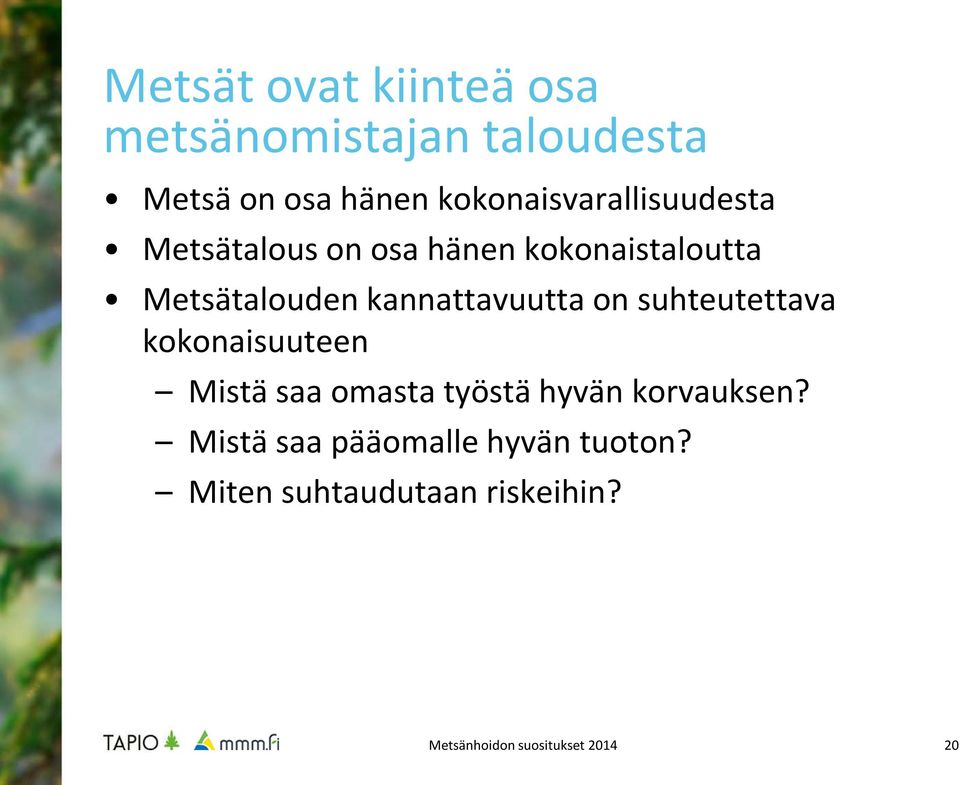 Metsätalouden kannattavuutta on suhteutettava kokonaisuuteen Mistä saa