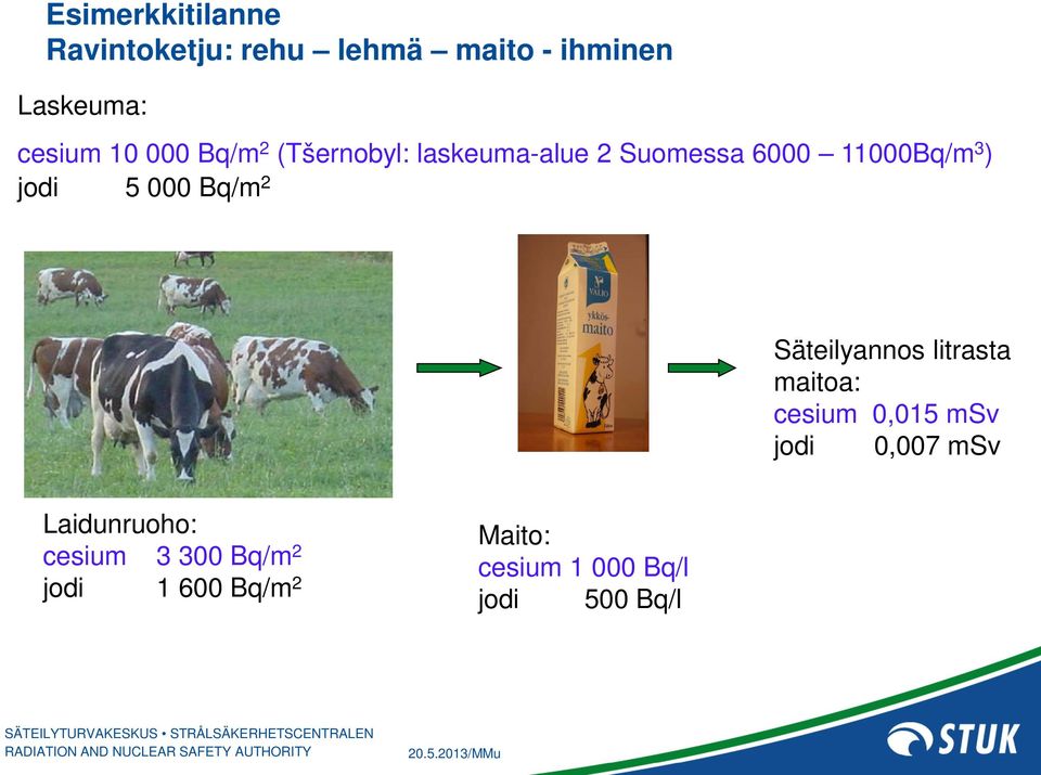 Bq/m 2 Säteilyannos litrasta maitoa: cesium 0,015 msv jodi 0,007 msv
