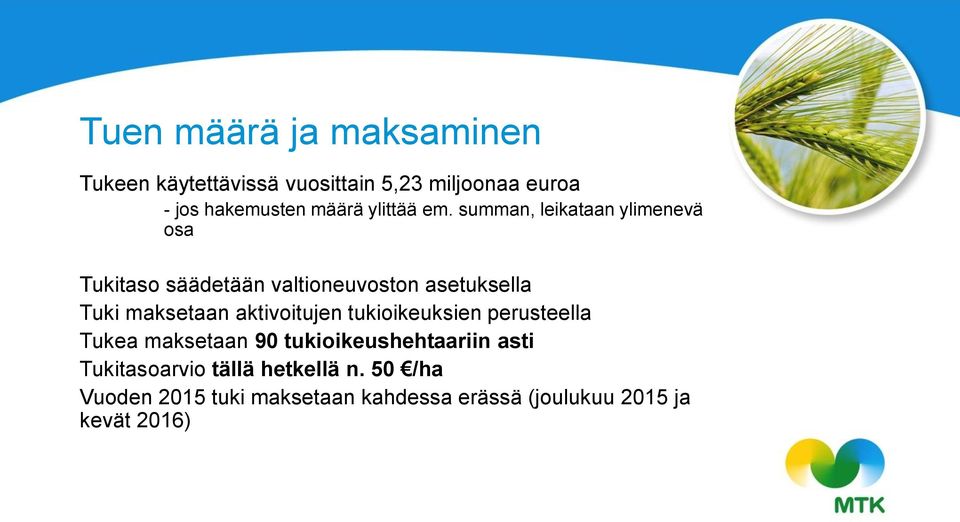 summan, leikataan ylimenevä osa Tukitaso säädetään valtioneuvoston asetuksella Tuki maksetaan