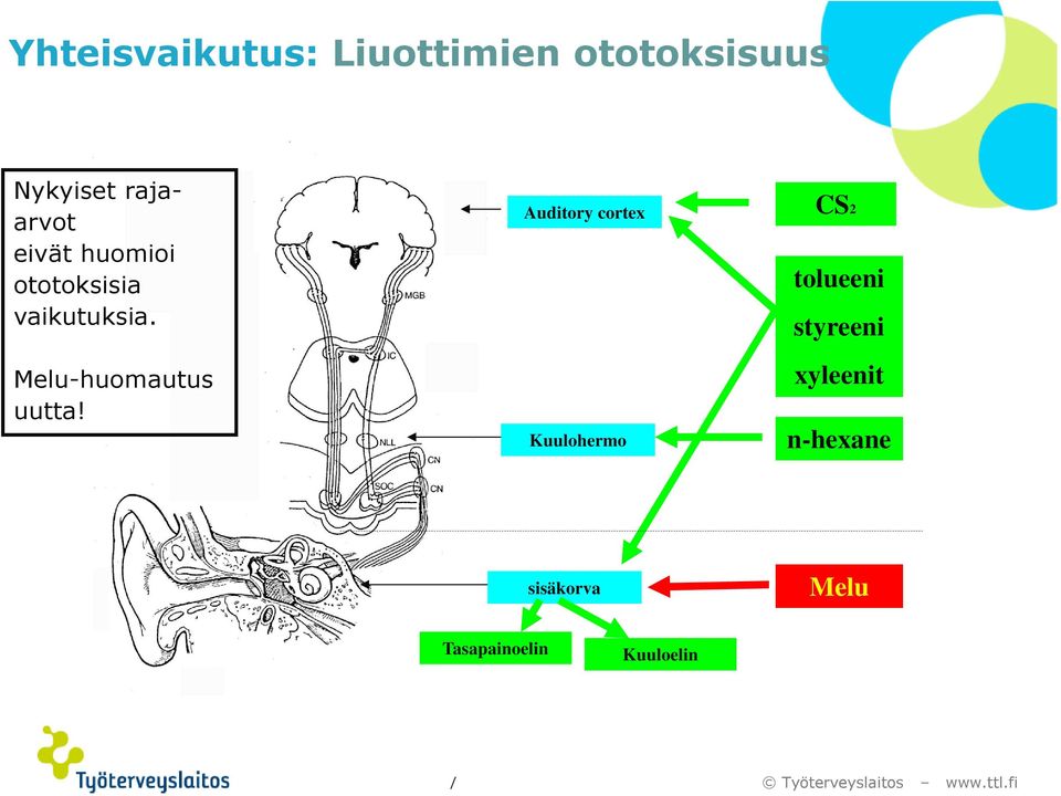 Melu-huomautus uutta!