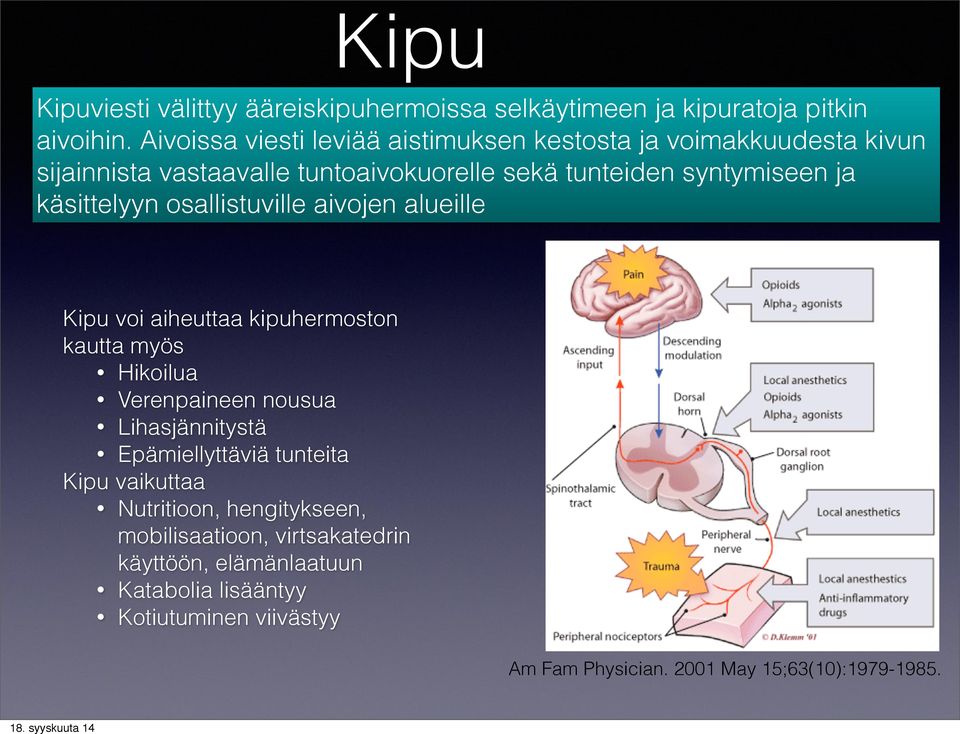 käsittelyyn osallistuville aivojen alueille Kipu voi aiheuttaa kipuhermoston kautta myös Hikoilua Verenpaineen nousua Lihasjännitystä