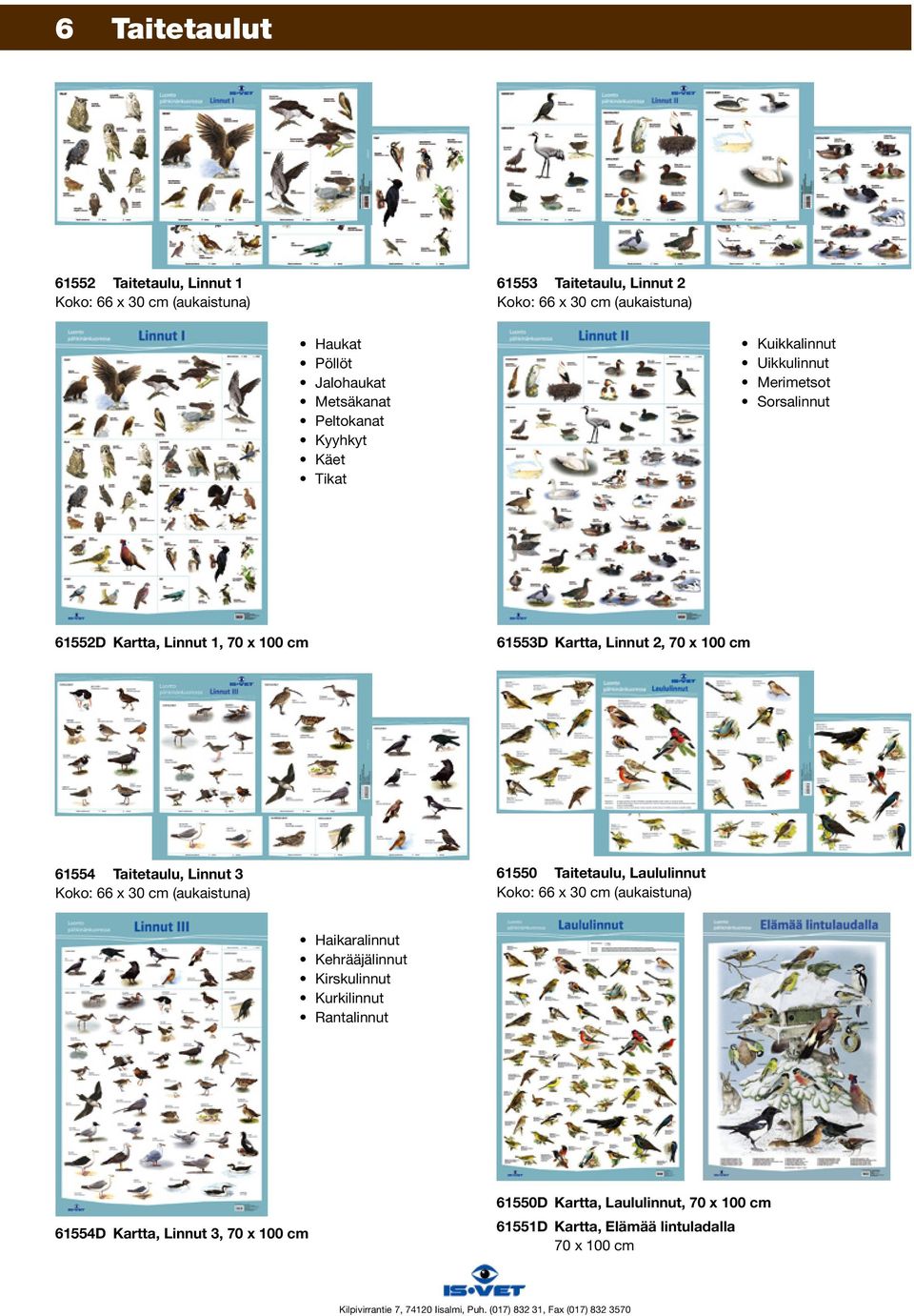 100 cm 61554 Taitetaulu, Linnut 3 61550 Taitetaulu, Laululinnut Haikaralinnut Kehrääjälinnut Kirskulinnut Kurkilinnut