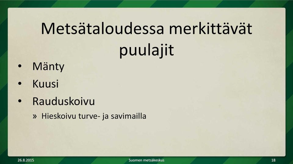 Hieskoivu turve- ja savimailla