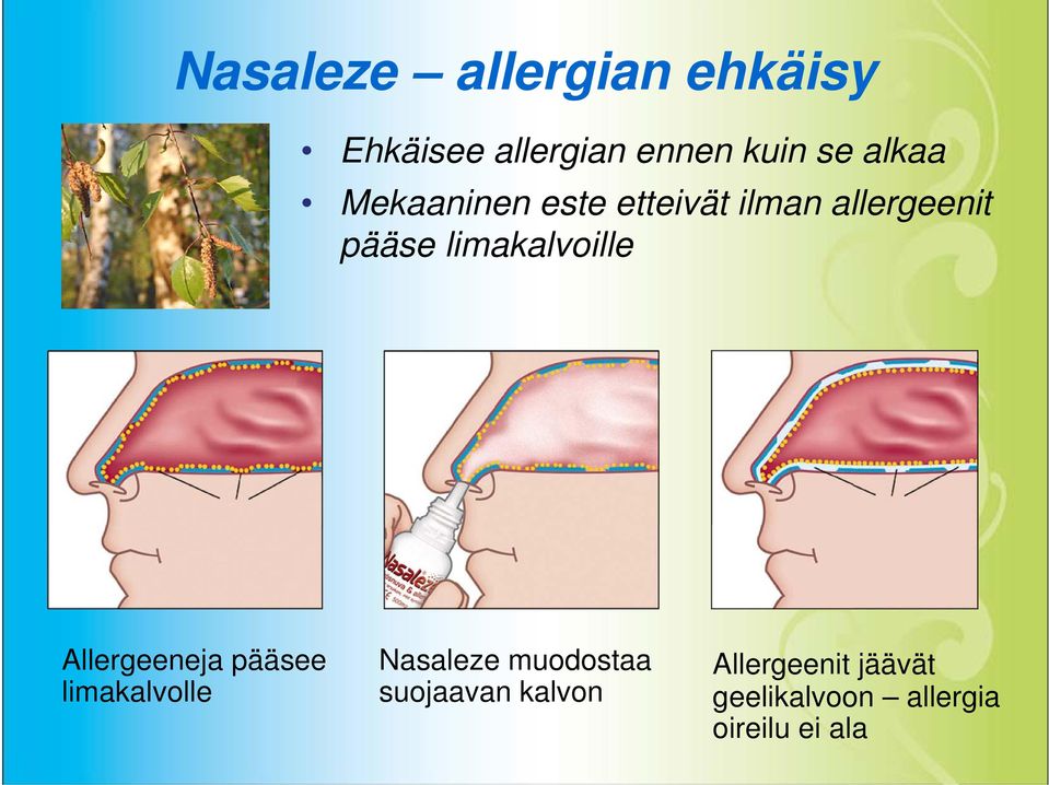 limakalvoille Allergeeneja pääsee limakalvolle Nasaleze