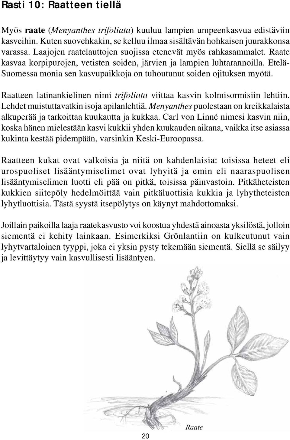 Etelä- Suomessa monia sen kasvupaikkoja on tuhoutunut soiden ojituksen myötä. Raatteen latinankielinen nimi trifoliata viittaa kasvin kolmisormisiin lehtiin. Lehdet muistuttavatkin isoja apilanlehtiä.