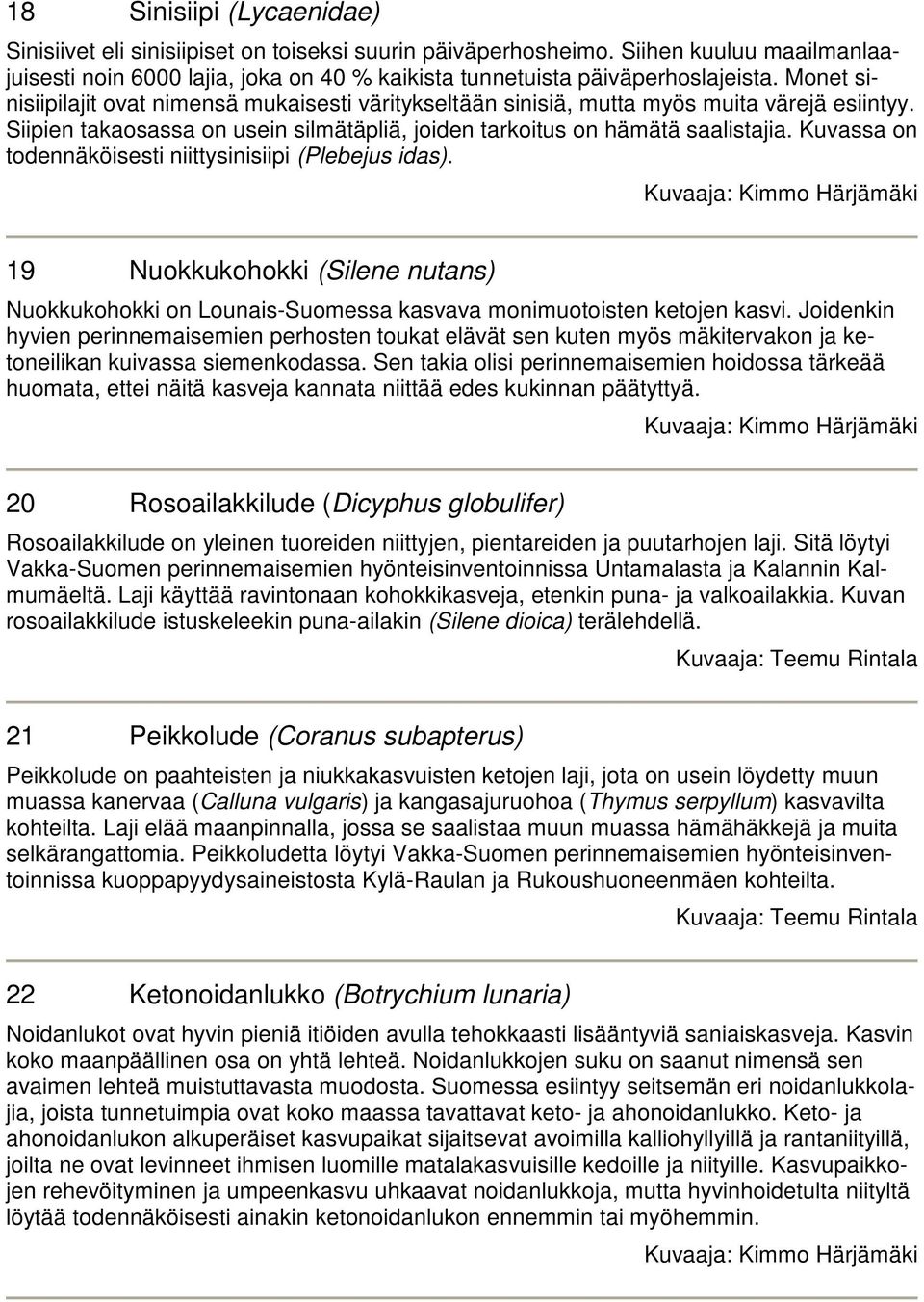 Kuvassa on todennäköisesti niittysinisiipi (Plebejus idas). 19 Nuokkukohokki (Silene nutans) Nuokkukohokki on Lounais-Suomessa kasvava monimuotoisten ketojen kasvi.