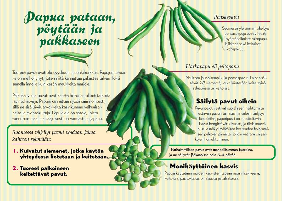 Palkokasveina pavut ovat kautta historian olleet tärkeitä ravintokasveja. Papuja kannattaa syödä säännöllisesti, sillä ne sisältävät arvokkaita kasvikunnan valkuaisaineita ja ravintokuituja.