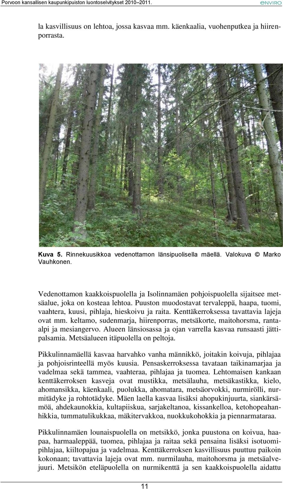 Kenttäkerroksessa tavattavia lajeja ovat mm. keltamo, sudenmarja, hiirenporras, metsäkorte, maitohorsma, rantaalpi ja mesiangervo. Alueen länsiosassa ja ojan varrella kasvaa runsaasti jättipalsamia.