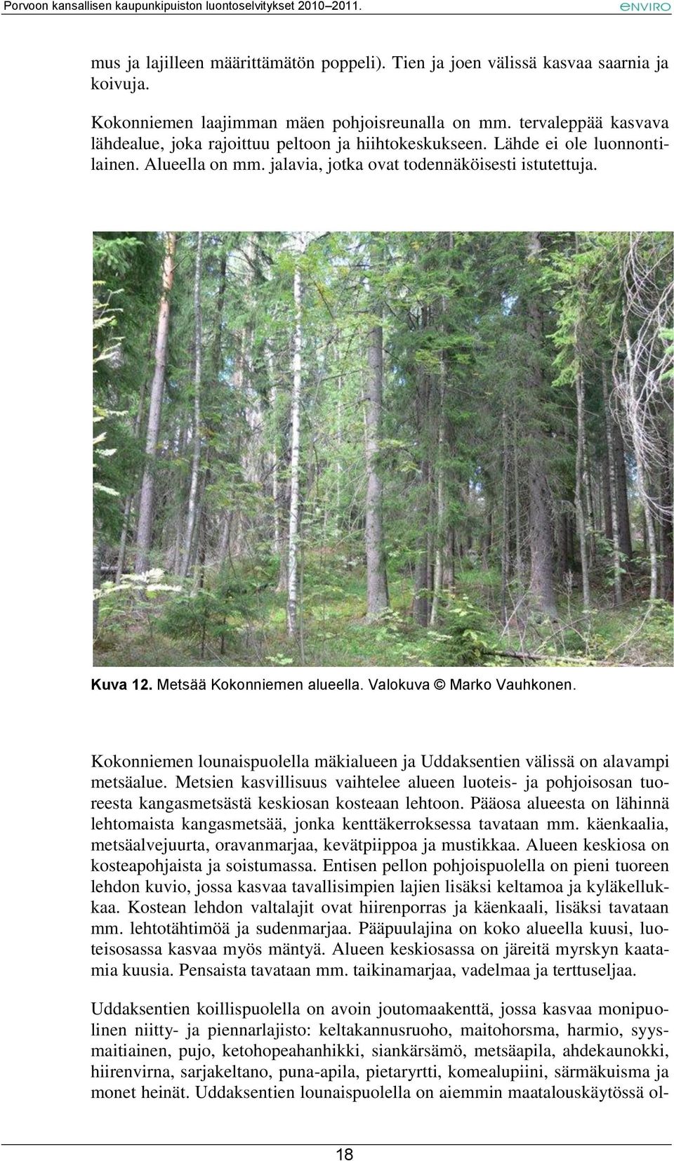 Metsää Kokonniemen alueella. Valokuva Marko Vauhkonen. Kokonniemen lounaispuolella mäkialueen ja Uddaksentien välissä on alavampi metsäalue.