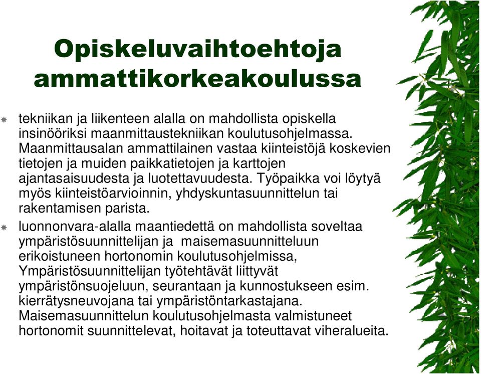 Työpaikka voi löytyä myös kiinteistöarvioinnin, yhdyskuntasuunnittelun tai rakentamisen parista.