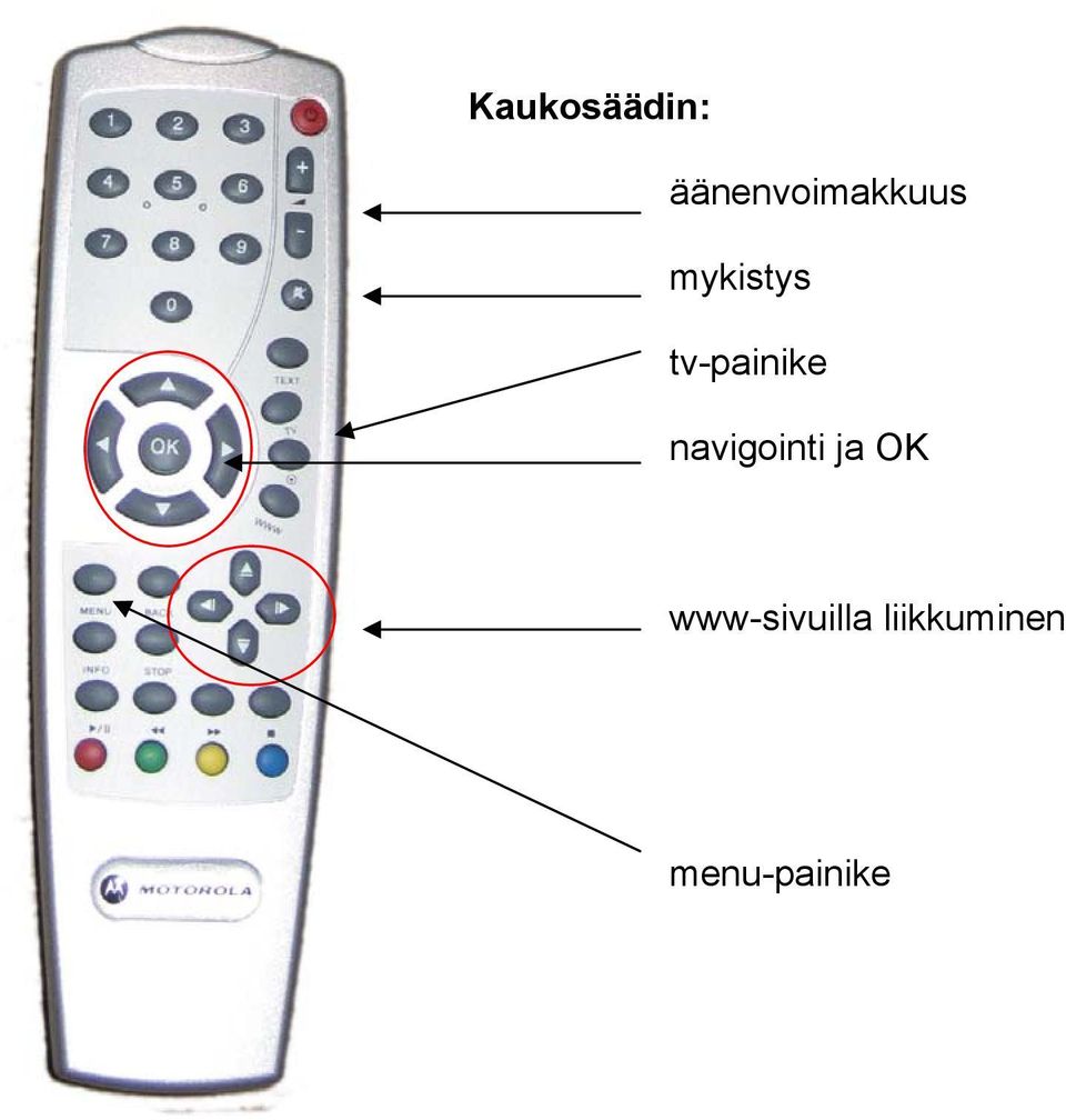 tv-painike navigointi ja