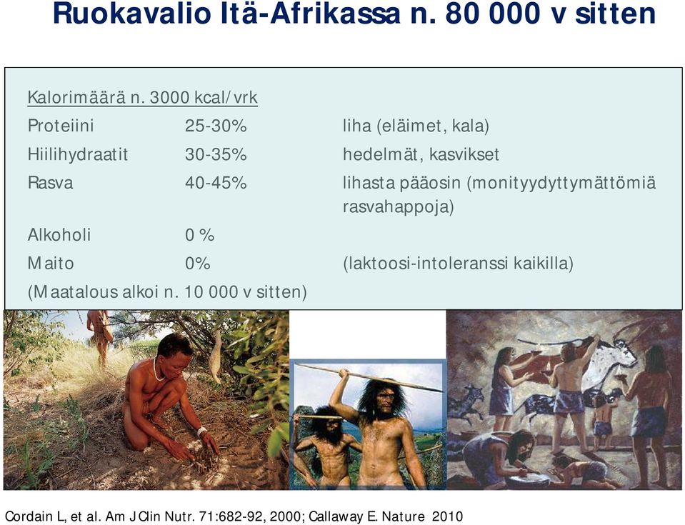 Rasva 40-45% lihasta pääosin (monityydyttymättömiä rasvahappoja) Alkoholi 0 % Maito 0%