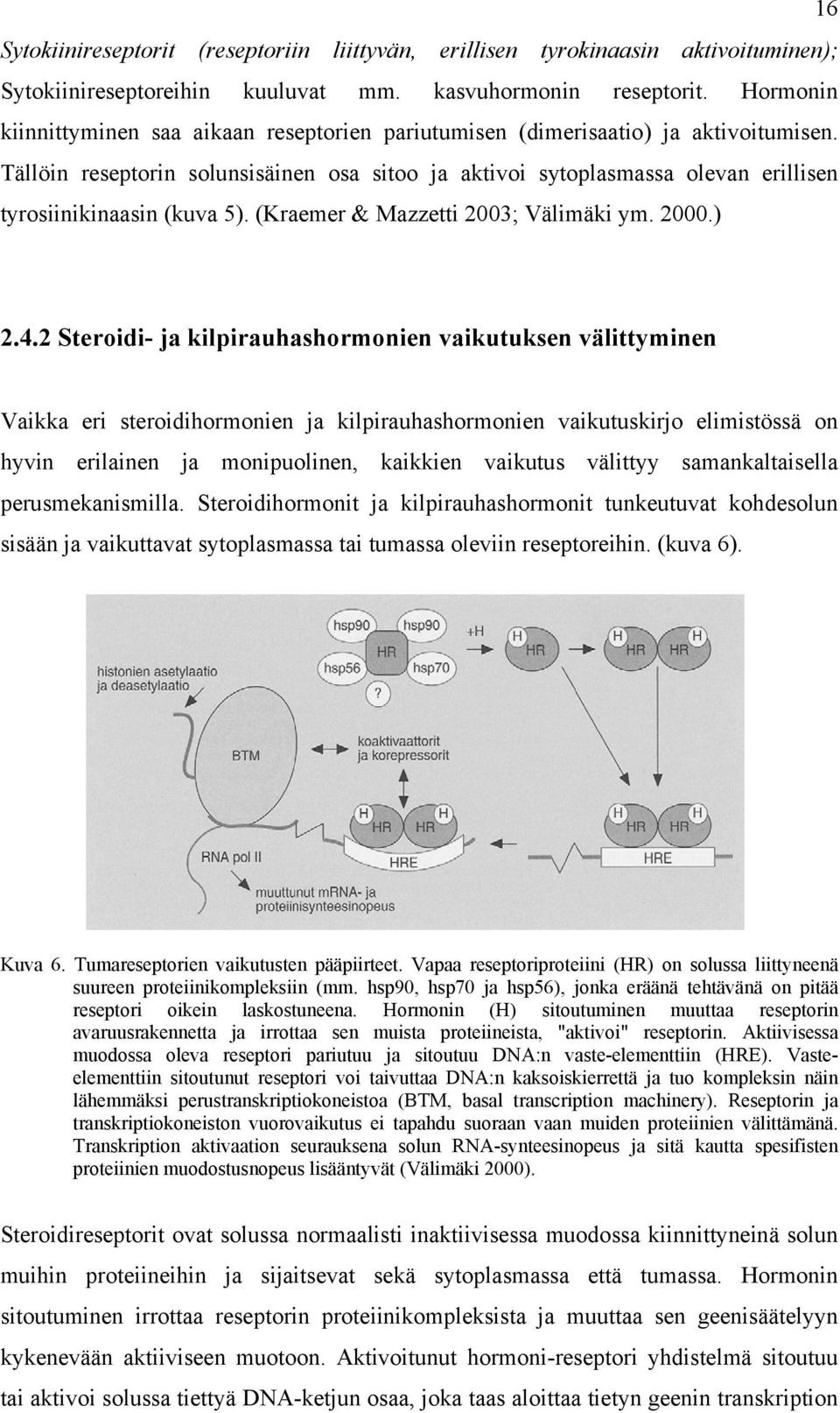 Tällöin reseptorin solunsisäinen osa sitoo ja aktivoi sytoplasmassa olevan erillisen tyrosiinikinaasin (kuva 5). (Kraemer & Mazzetti 2003; Välimäki ym. 2000.) 2.4.