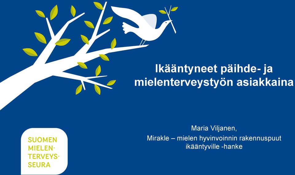 Maria Viljanen, Mirakle mielen