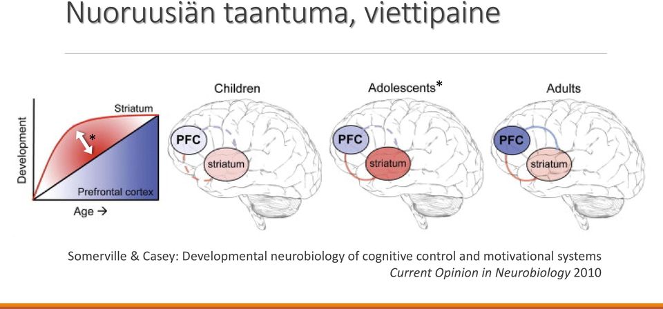 neurobiology of cognitive control and
