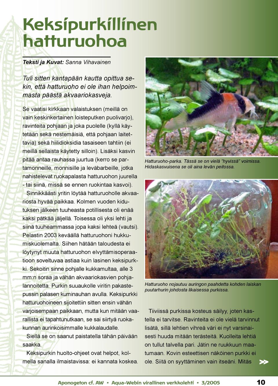 hiilidioksidia tasaiseen tahtiin (ei meillä sellaista käytetty silloin).