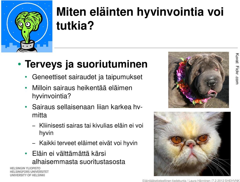 hyvinvointia?