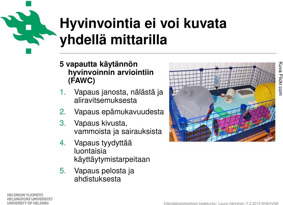 Vapaus epämukavuudesta 3. Vapaus kivusta, vammoista ja sairauksista 4.