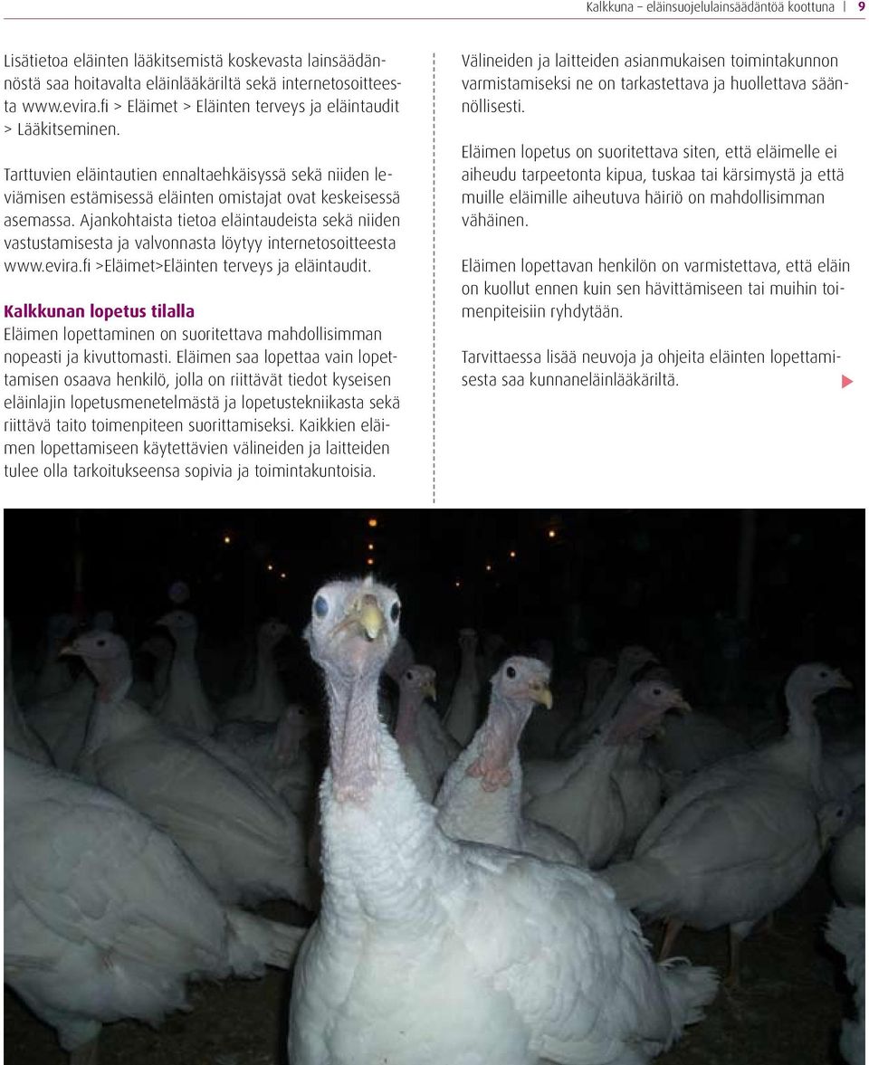 Ajankohtaista tietoa eläintaudeista sekä niiden vastustamisesta ja valvonnasta löytyy internetosoitteesta www.evira.fi >Eläimet>Eläinten terveys ja eläintaudit.
