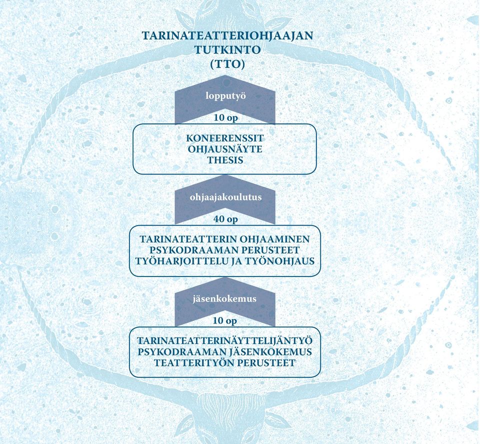 PSYKODRAAMAN PERUSTEET TYÖHARJOITTELU JA TYÖNOHJAUS jäsenkokemus 10 op