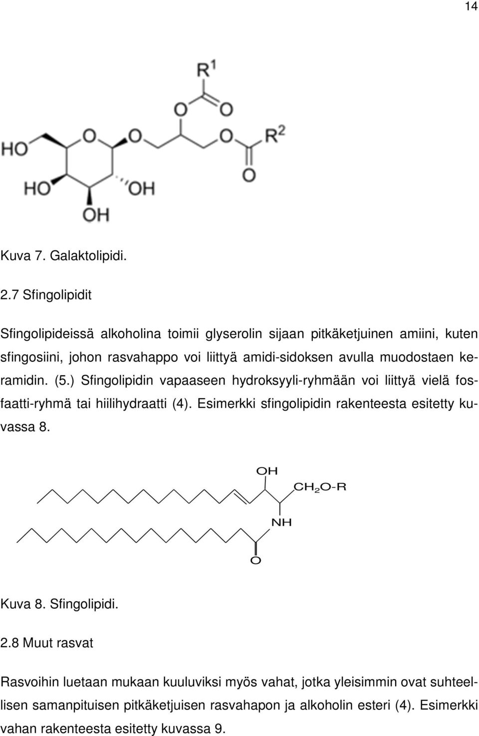 amidi-sidoksen avulla muodostaen keramidin. (5.) Sfingolipidin vapaaseen hydroksyyli-ryhmään voi liittyä vielä fosfaatti-ryhmä tai hiilihydraatti (4).
