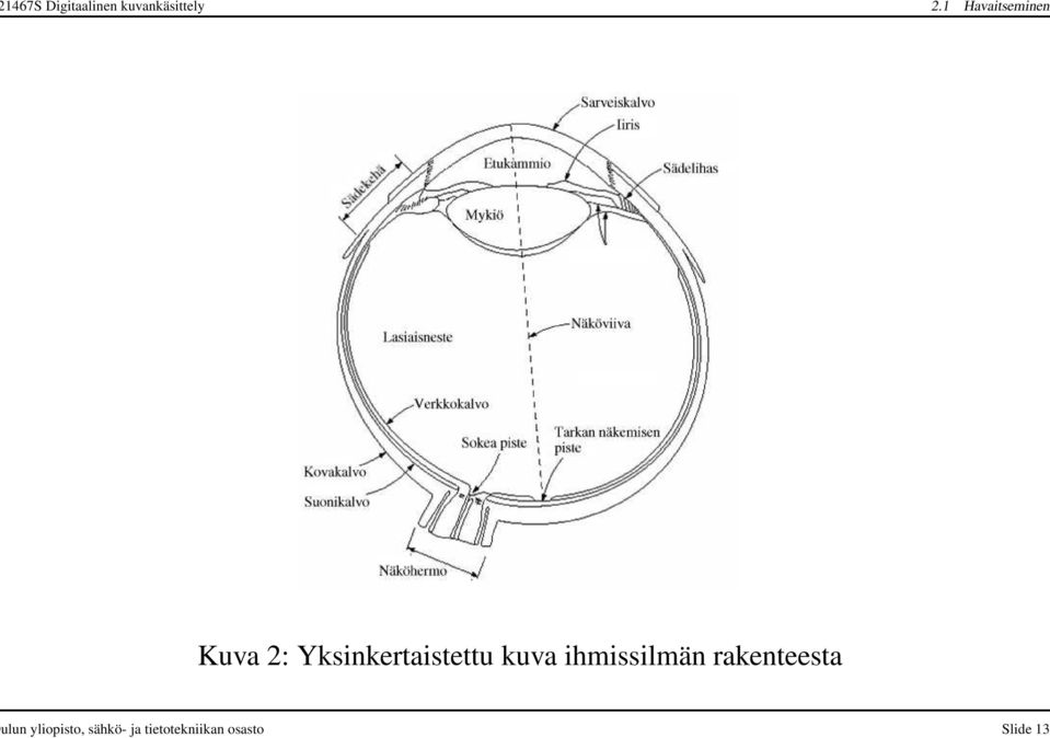 Yksinkertaistettu kuva ihmissilmän