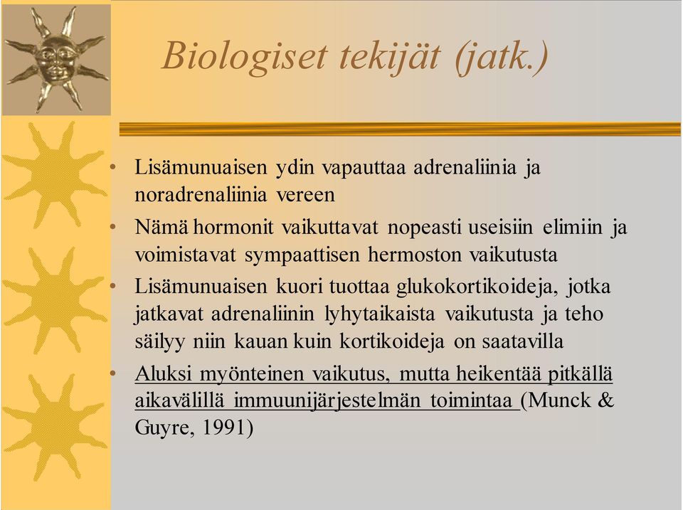 elimiin ja voimistavat sympaattisen hermoston vaikutusta Lisämunuaisen kuori tuottaa glukokortikoideja, jotka