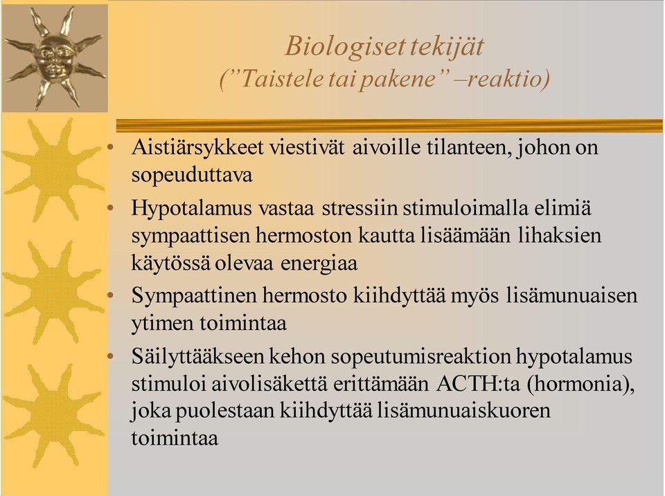 energiaa Sympaattinen hermosto kiihdyttää myös lisämunuaisen ytimen toimintaa Säilyttääkseen kehon sopeutumisreaktion