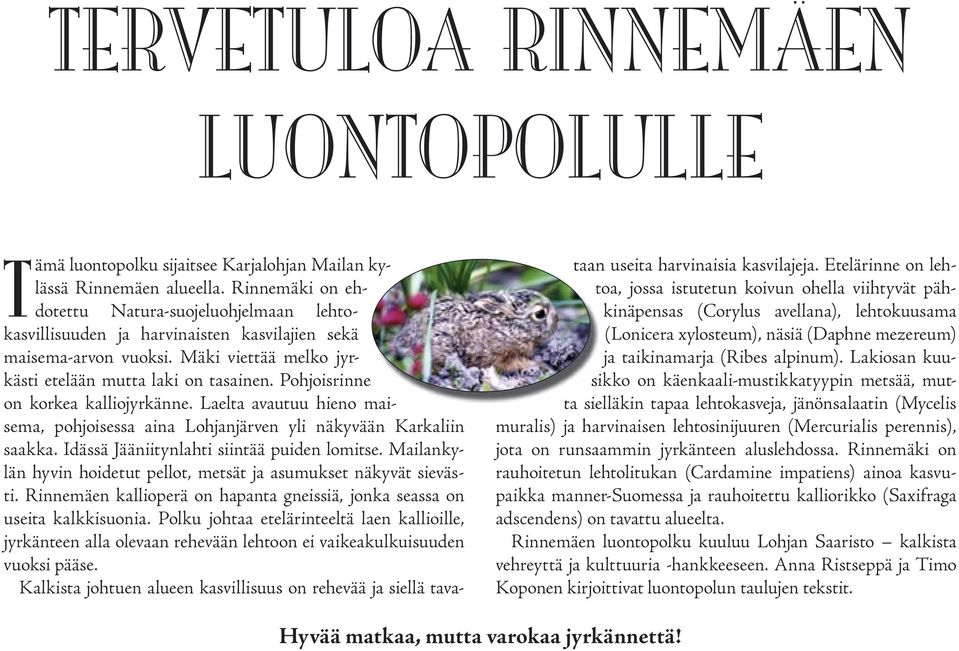 Pohjoisrinne on korkea kalliojyrkänne. Laelta avautuu hieno maisema, pohjoisessa aina Lohjanjärven yli näkyvään Karkaliin saakka. Idässä Jääniitynlahti siintää puiden lomitse.