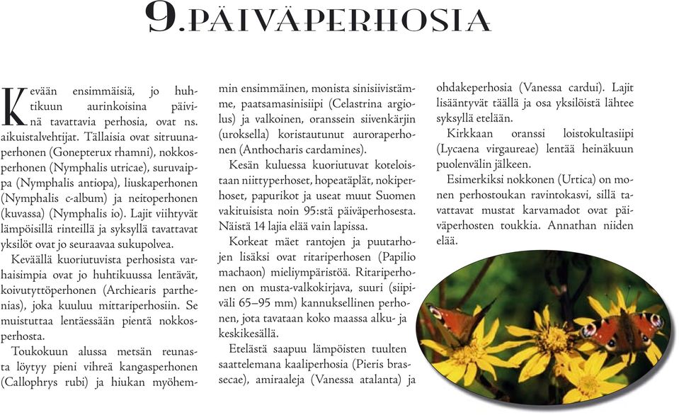 Lajit viihtyvät lämpöisillä rinteillä ja syksyllä tavattavat yksilöt ovat jo seuraavaa sukupolvea.