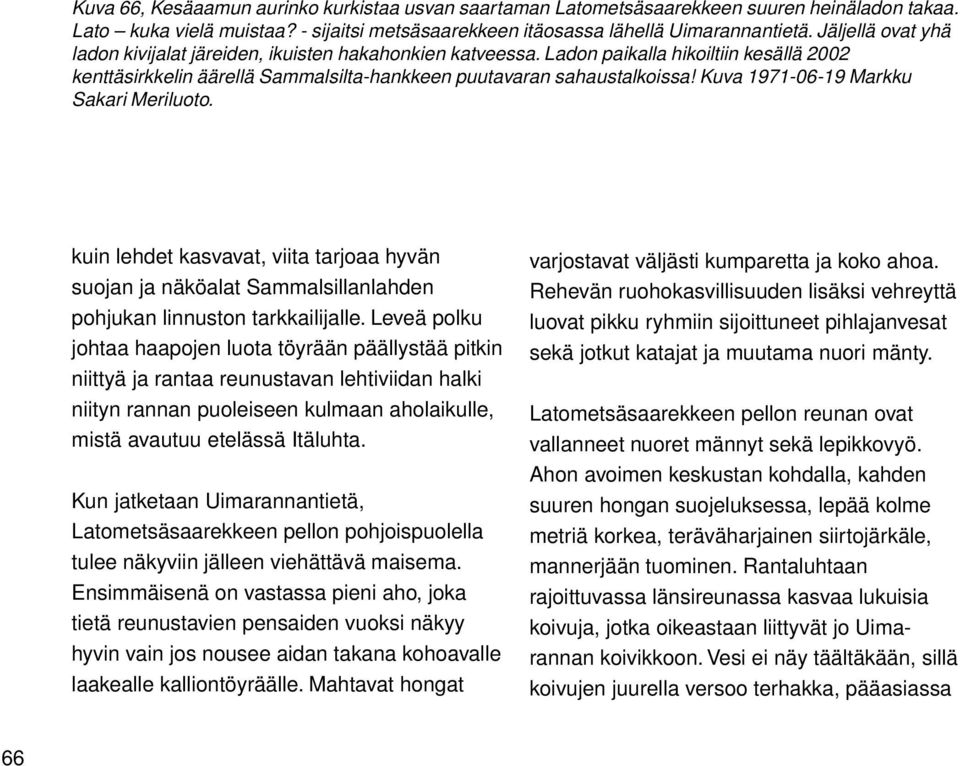 Kuva 1971-06-19 Markku Sakari Meriluoto. kuin lehdet kasvavat, viita tarjoaa hyvän suojan ja näköalat Sammalsillanlahden pohjukan linnuston tarkkailijalle.