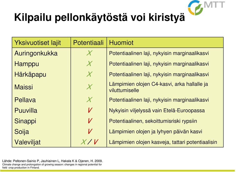 Nykyisin viljelyssä vain Etelä-Euroopassa Sinappi V Potentiaalinen, sekoittumisriski rypsiin Soija V Lämpimien olojen ja lyhyen päivän kasvi Valeviljat X / V Lämpimien olojen kasveja, tattari