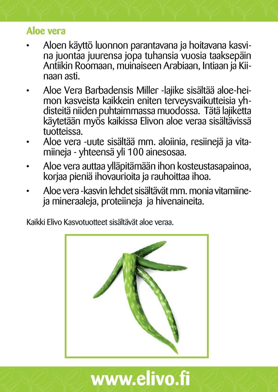 Tätä lajiketta käytetään myös kaikissa Elivon aloe veraa sisältävissä tuotteissa. Aloe vera -uute sisältää mm. aloiinia, resiinejä ja vitamiineja - yhteensä yli 100 ainesosaa.