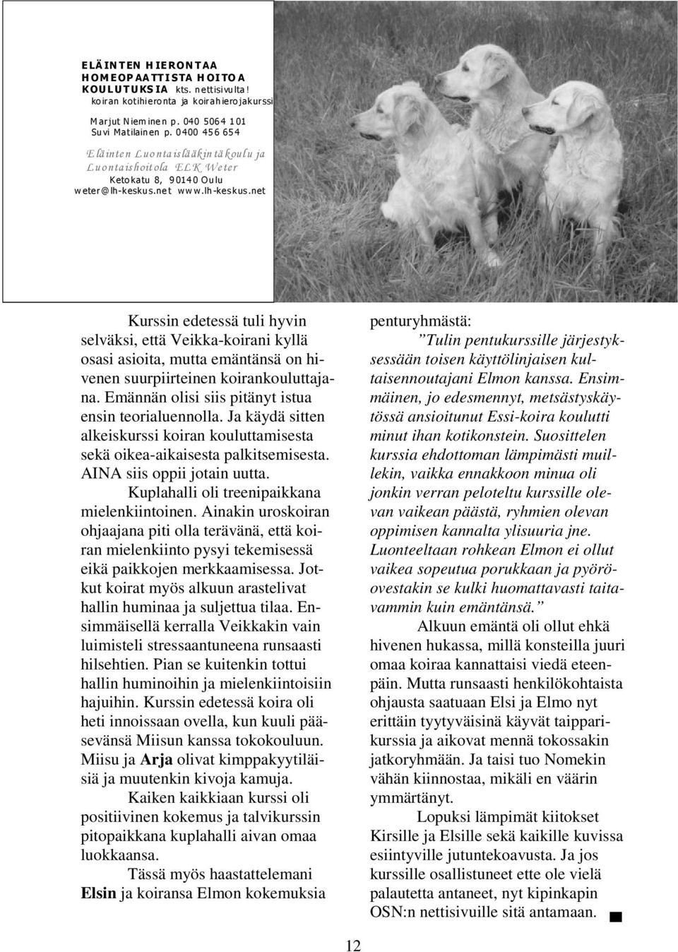 net Kurssin edetessä tuli hyvin selväksi, että Veikka-koirani kyllä osasi asioita, mutta emäntänsä on hivenen suurpiirteinen koirankouluttajana. Emännän olisi siis pitänyt istua ensin teorialuennolla.