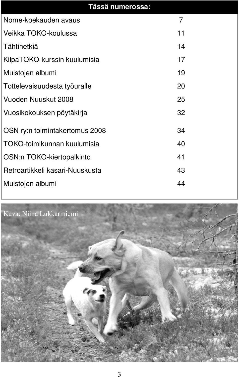 Vuosikokouksen pöytäkirja 32 OSN ry:n toimintakertomus 2008 34 TOKO-toimikunnan kuulumisia 40