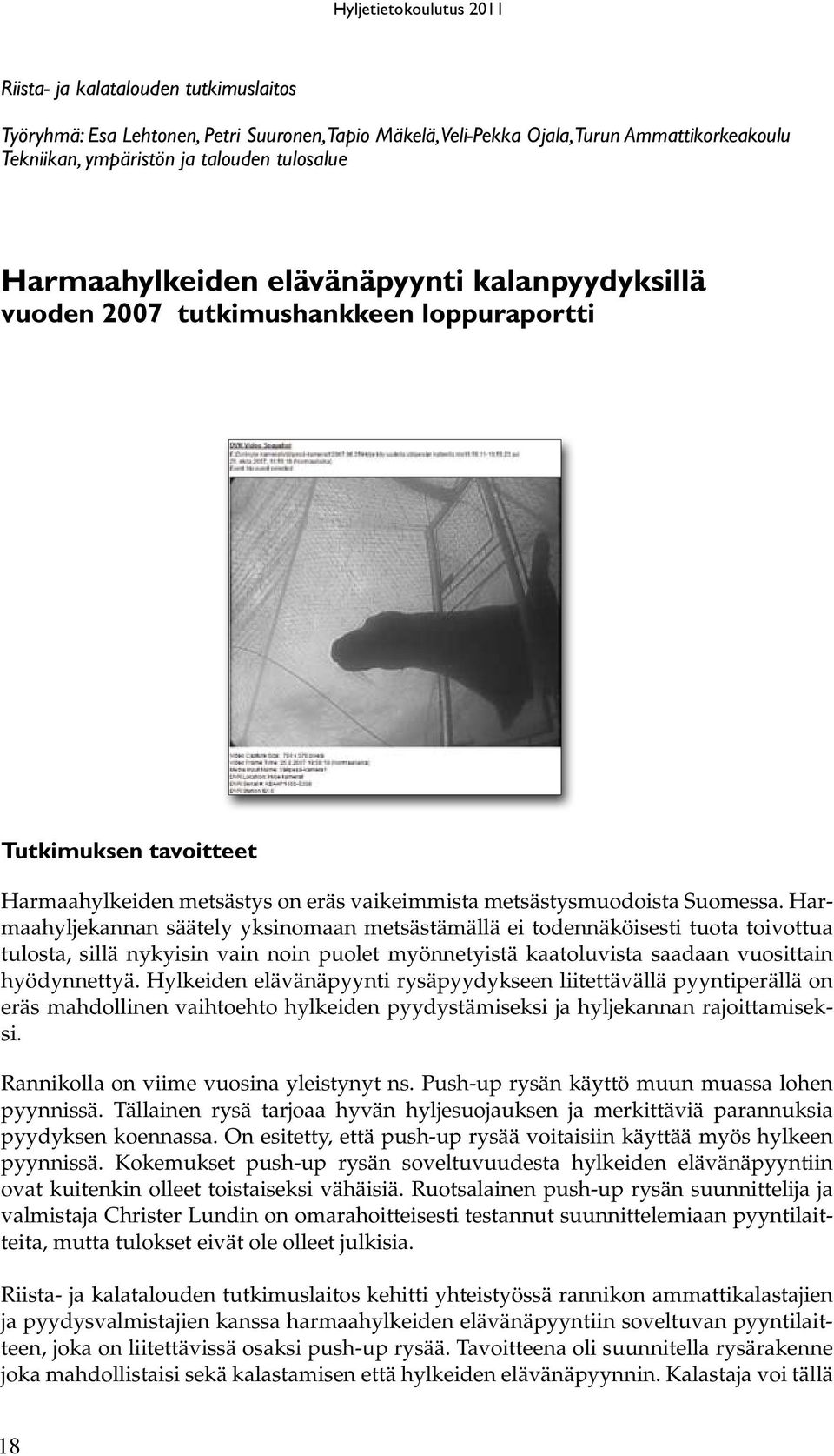 Harmaahyljekannan säätely yksinomaan metsästämällä ei todennäköisesti tuota toivottua tulosta, sillä nykyisin vain noin puolet myönnetyistä kaatoluvista saadaan vuosittain hyödynnettyä.