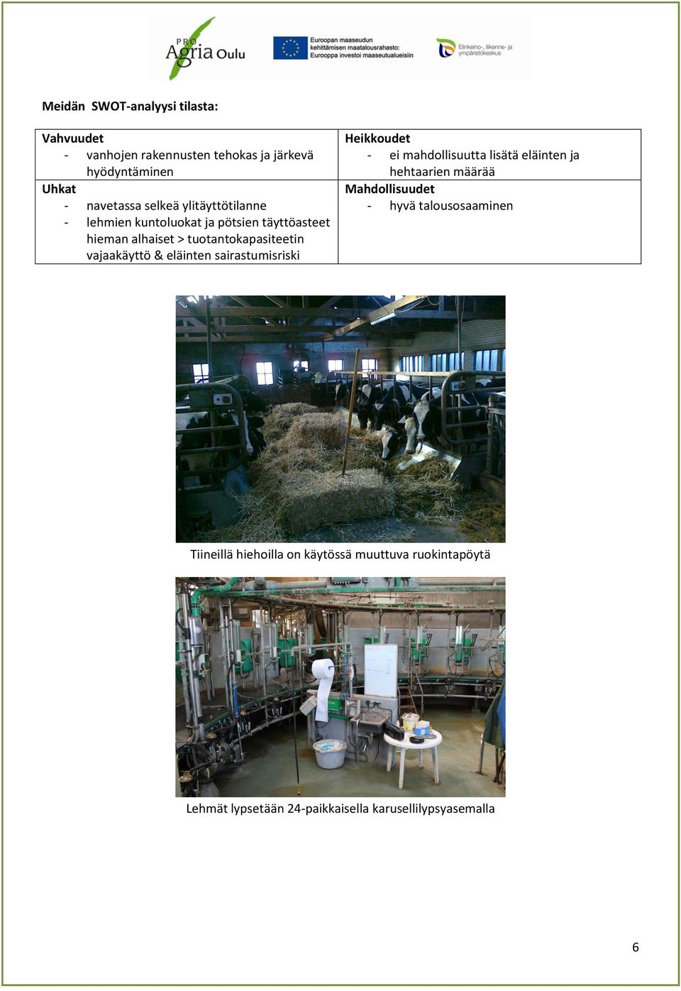 eläinten sairastumisriski Heikkoudet - ei mahdollisuutta lisätä eläinten ja hehtaarien määrää Mahdollisuudet - hyvä