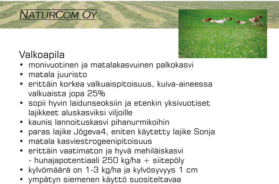 pihanurmikoihin paras lajike Jõgeva4, eniten käytetty lajike Sonja matala kasviestrogeenipitoisuus erittäin vaatimaton ja hyvä