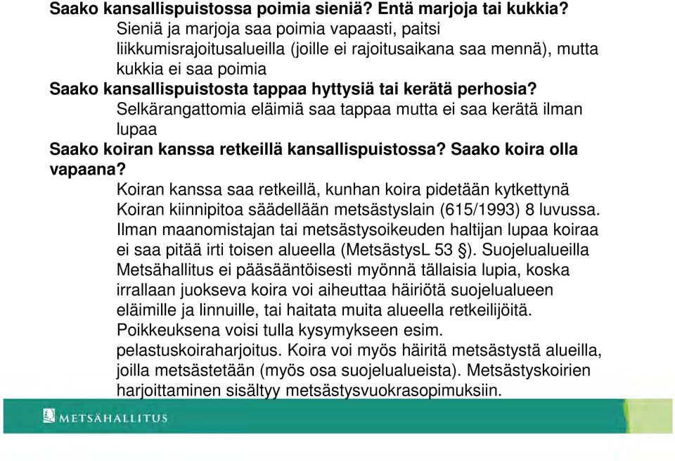 Selkärangattomia eläimiä saa tappaa mutta ei saa kerätä ilman lupaa Saako koiran kanssa retkeillä kansallispuistossa? Saako koira olla vapaana?