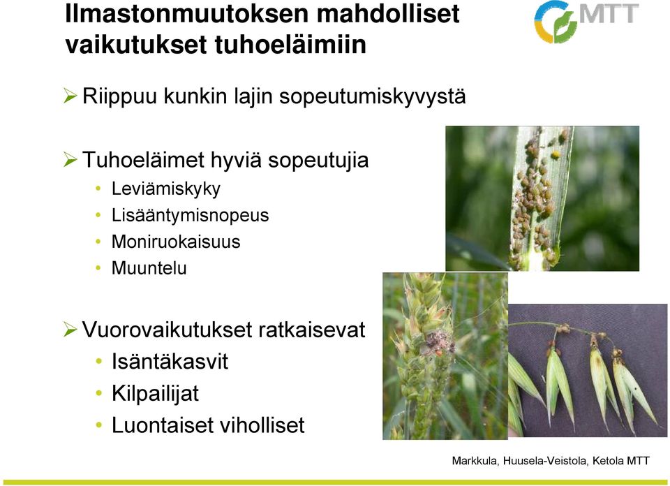 Leviämiskyky Lisääntymisnopeus Moniruokaisuus Muuntelu