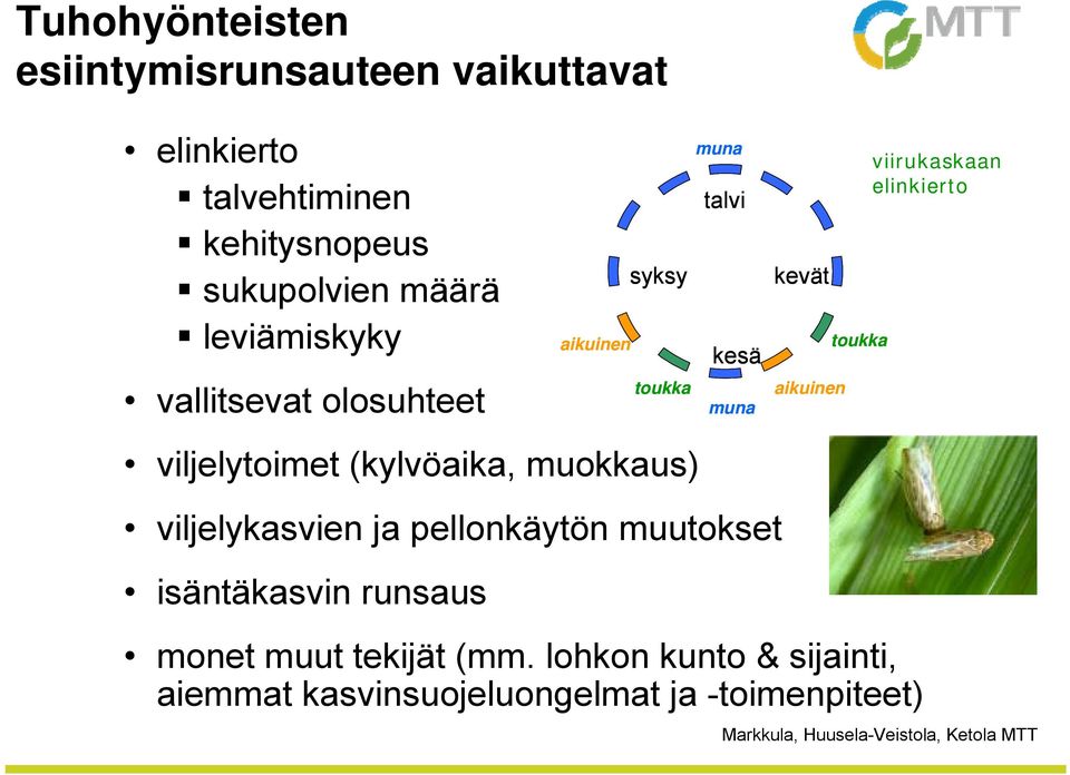 muutokset isäntäkasvin runsaus aikuinen syksy toukka muna talvi kesä muna kevät aikuinen toukka monet muut