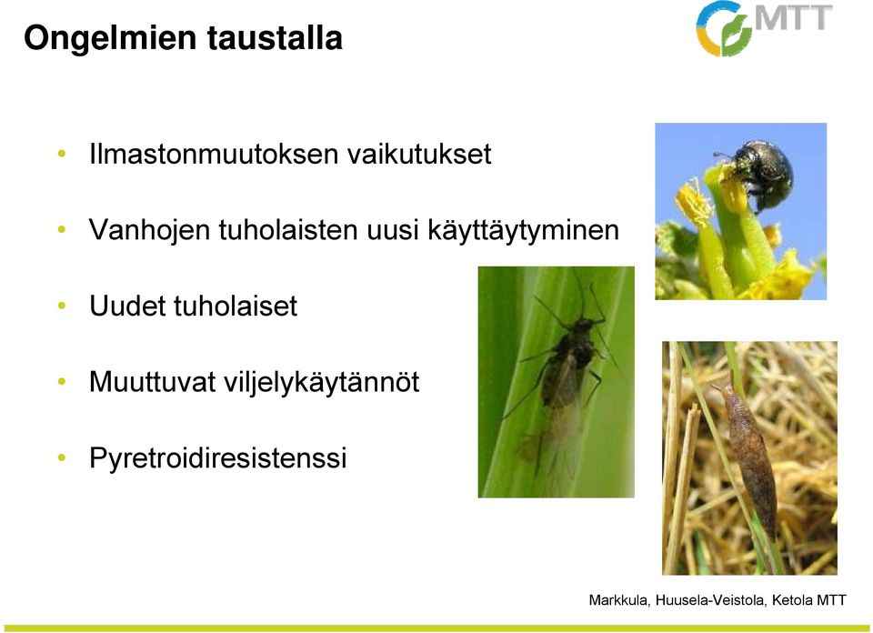 käyttäytyminen Uudet tuholaiset