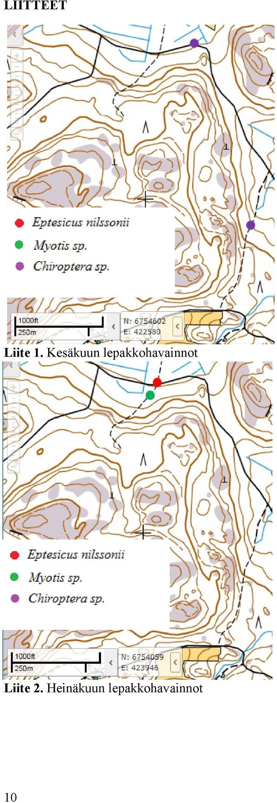 lepakkohavainnot