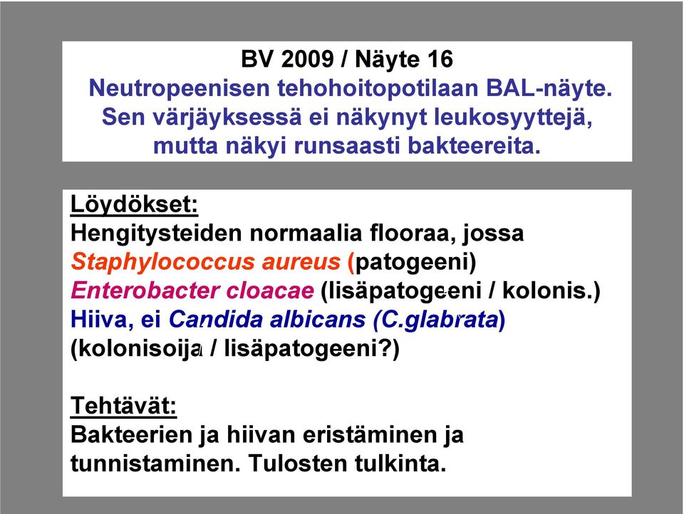 Löydökset: Hengitysteiden normaalia flooraa, jossa Staphylococcus aureus (patogeeni) Enterobacter cloacae