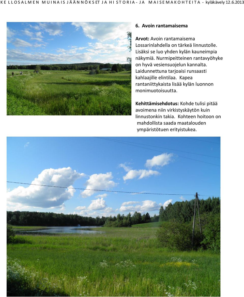 Laidunnettuna tarjoaisi runsaasti kahlaajille elintilaa. Kapea rantaniittykaista lisää kylän luonnon monimuotoisuutta.