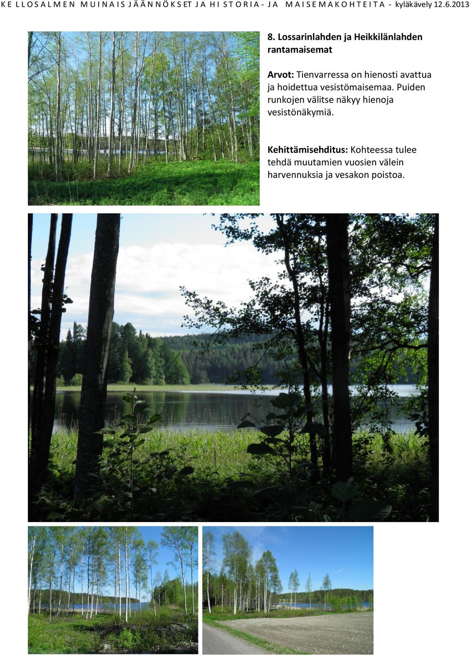 Puiden runkojen välitse näkyy hienoja vesistönäkymiä.