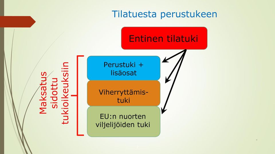 tilatuki Perustuki + lisäosat