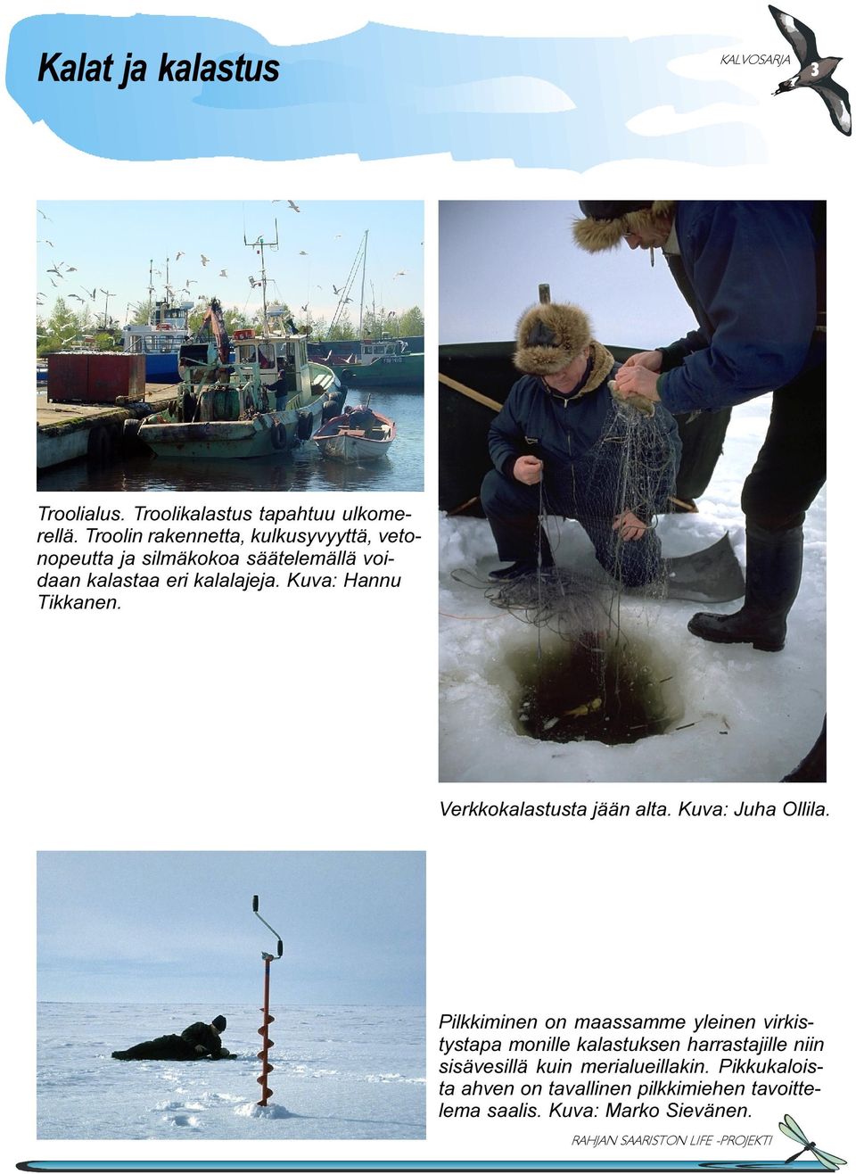 Kuva: Hannu Tikkanen. Verkkokalastusta jään alta. Kuva: Juha Ollila.