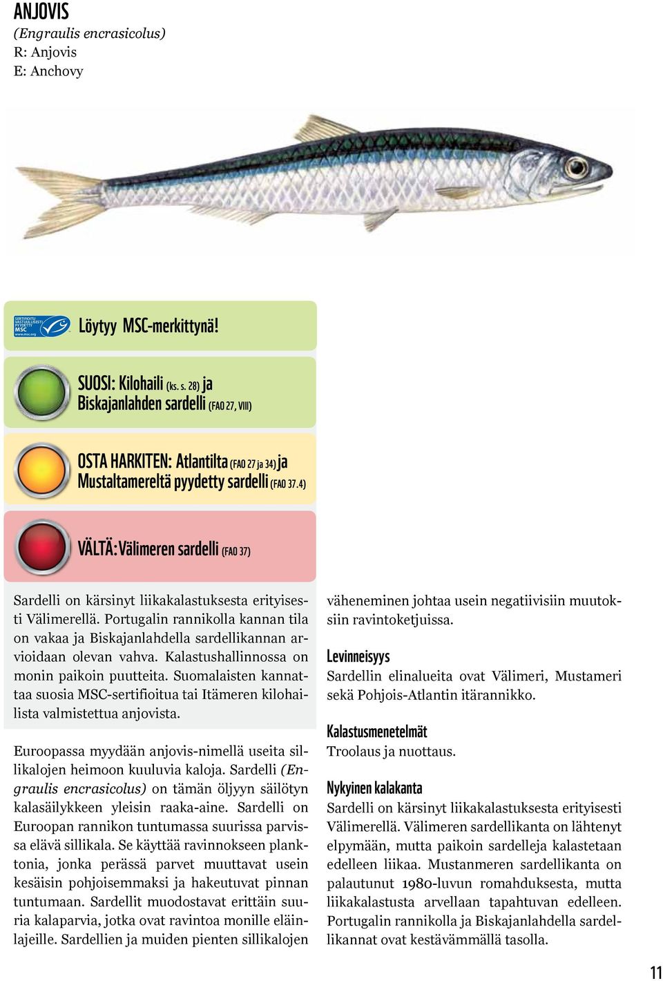 4) Vältä:Välimeren sardelli (FAO 37) Sardelli on kärsinyt liikakalastuksesta erityisesti Välimerellä.